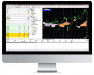 Dubai MT5 Trading Platform